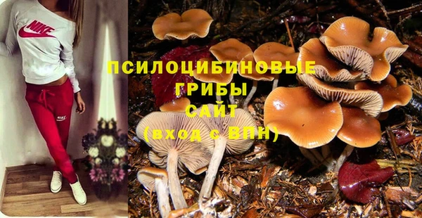 ALPHA PVP Арсеньев