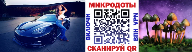 Галлюциногенные грибы Cubensis  хочу наркоту  Любим 